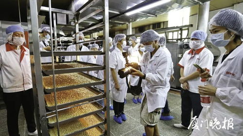 你買的早餐衛生嗎 食材原料品質如何 現場揭秘